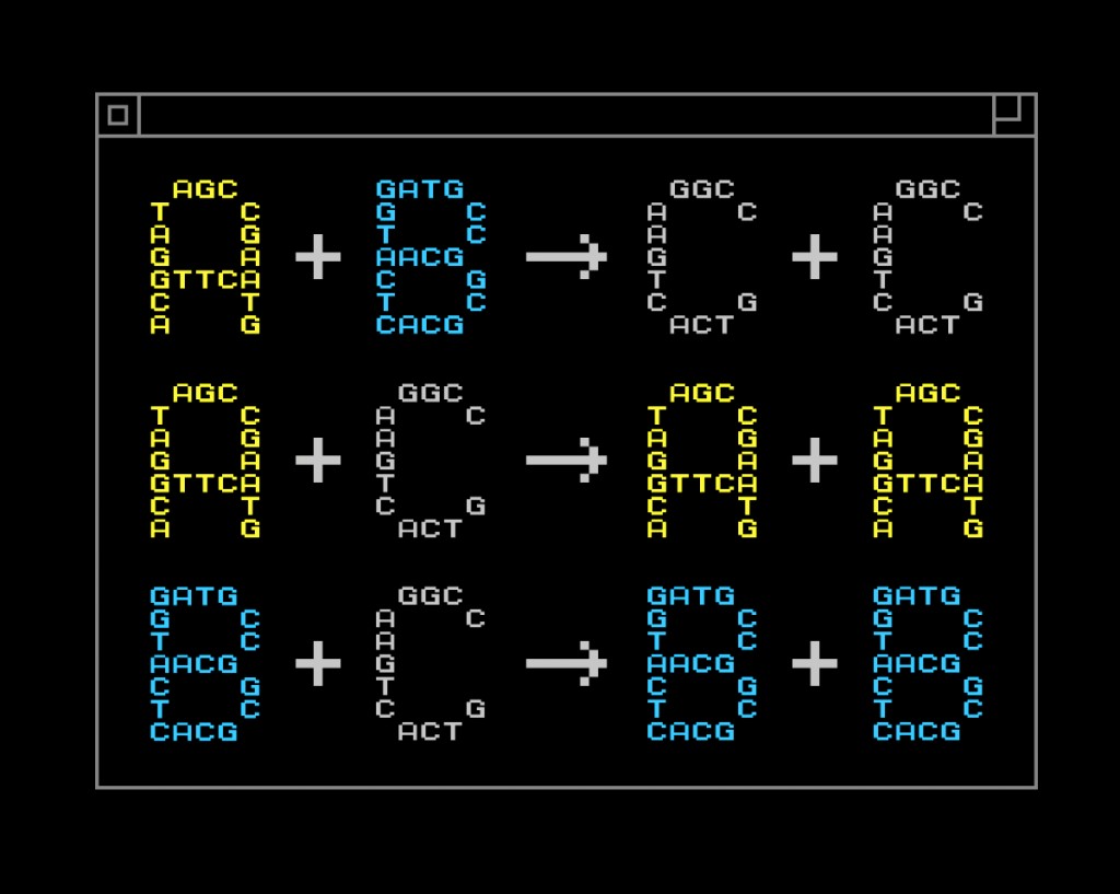 Dna Programming Allen School News » A programming language to build synthetic DNA