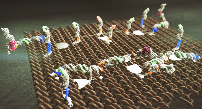 Rendering of nanoscale circuit boards