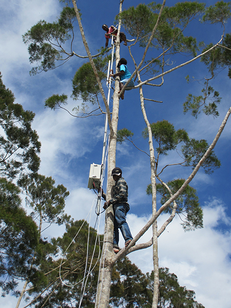 Men attaching a community cellular box to a tree