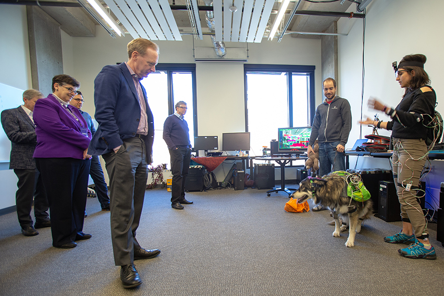 A small group of people standing in the middle of a room with computer desks against the wall and the windows. Someone wearing a combination of wires and a camera on their head is talking while gesturing toward a fluffy malamute dog wearing similar equipment.