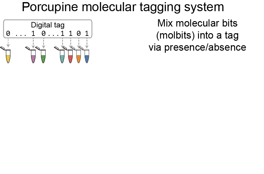 Diagram of steps in Porcupine tagging system