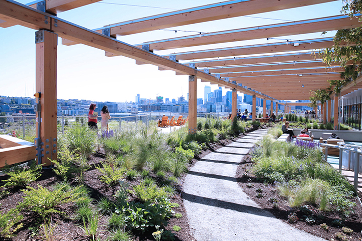 Image of Meta Seattle office exterior with patio, path and vegetation under a wooden lanai against a backdrop of downtown Seattle skyline