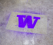Graffiti-style UW block "W" logo stenciled and spray-painted in bright purple on a mottled grey surface