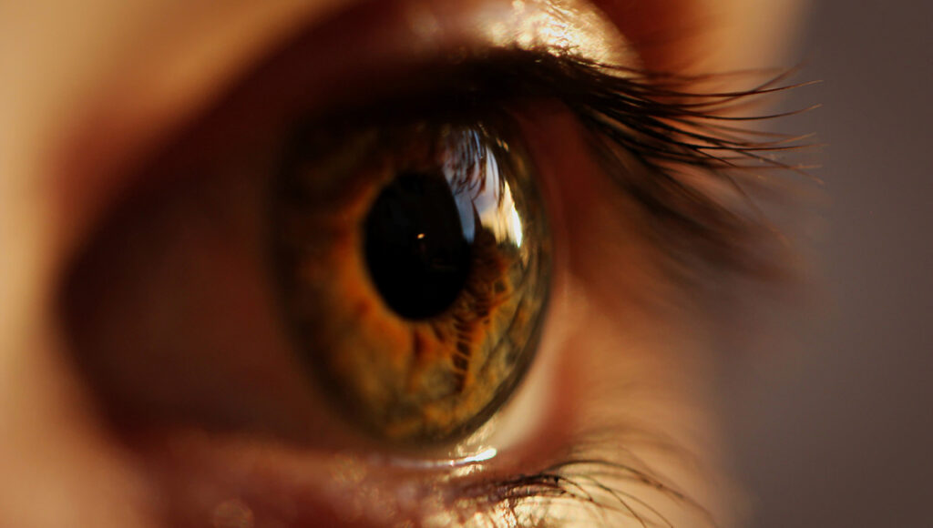 Closeup of a person's eyeball and eyelashes