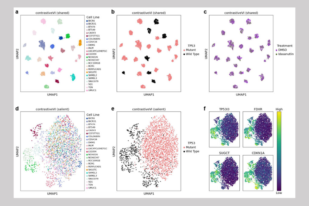 A series of six multi-colored scatter plot figures arranged in two rows of three. In the top row, a scatter plot indicates clustering of cells with clear separation by cell line and by whether the cell is mutant or wild type, and mixing across cells subject to idasanutlin treatment or control compound. While the colors differ among the three, the cluster shape and intensity appear identical. In the bottom row, the clusters are larger and more loosely configured, showing mixing across mutant cell lines with clear separation between mutant and wild type cells. The final figure consists of four smaller scatter plots of identical shape and intensity for each of four genes, with colors ranging from yellow to green to deep blue signifying “high” to “low” gene expression.