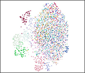 Scatterplot of multi-colored dots, with a large cluster of dots occupying roughly two-thirds of the frame, with smaller clusters aligned by color and scattered individual dots arranged along one side of the main cluster.