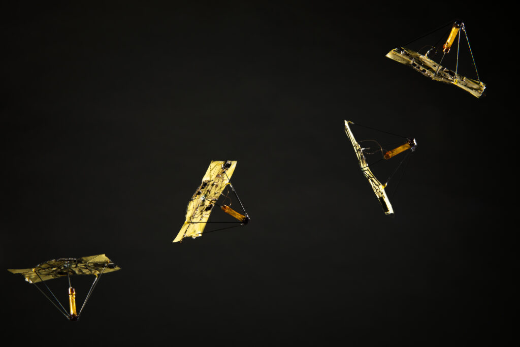 Four microfliers, small robotic devices that mimic falling leaves, are set against a black background. They are golden squares with pieces of black material connecting to an amber-colored cylinder, resembling an umbrella or a parachute. 