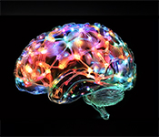 Glass brain model showing illuminated neural network on black background.